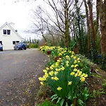 Camillaun With Lough Corrib Boat Hire Bed & Breakfast Oughterard