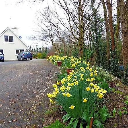 Bed & Breakfast Camillaun With Lough Corrib Boat Hire Oughterard