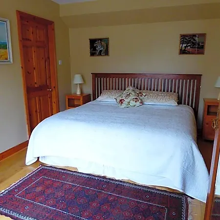 Bed & Breakfast Camillaun With Lough Corrib Boat Hire