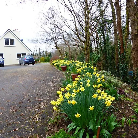 Camillaun With Lough Corrib Boat Hire Oda ve Kahvaltı Oughterard