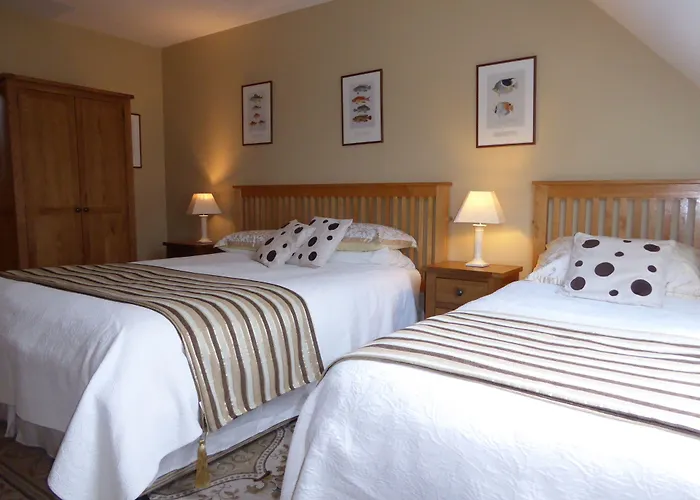 Camillaun With Lough Corrib Boat Hire B&B