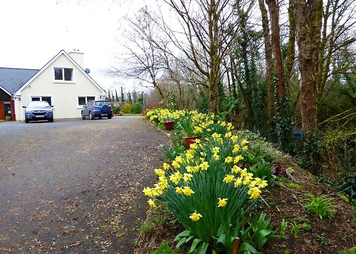 Camillaun With Lough Corrib Boat Hire Bed & Breakfast Oughterard