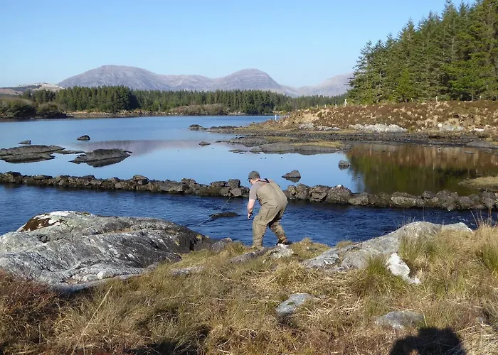 Alojamento de Acomodação e Pequeno-almoço Camillaun With Lough Corrib Boat Hire