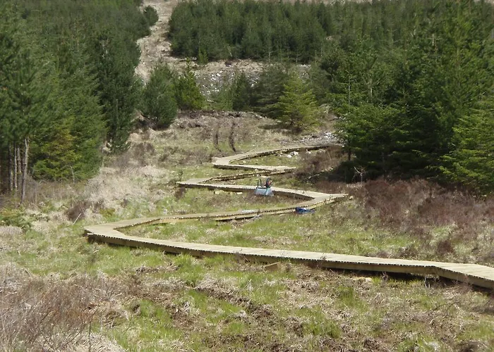 B&B Camillaun With Lough Corrib Boat Hire 4*